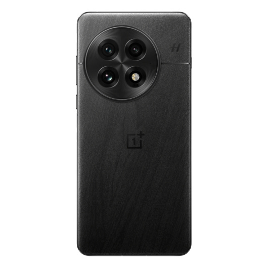 OnePlus 13 12/256Gb Dual nanoSim Черный (CN)