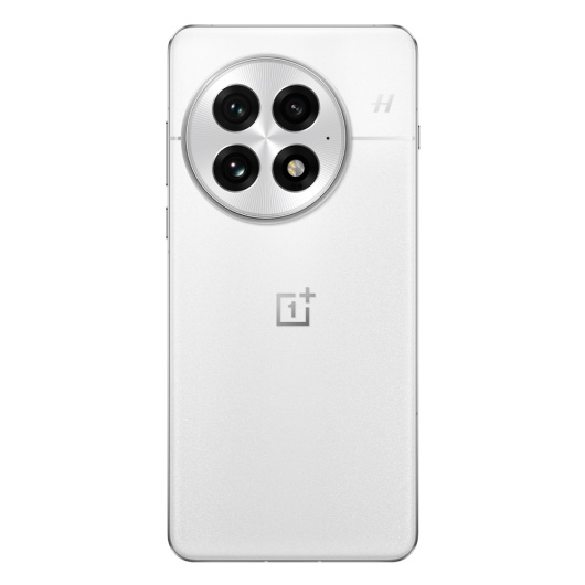 OnePlus 13 12/512Gb Dual nanoSim Белый (CN)