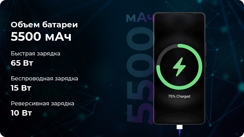 ASUS Zenfone 11 Ultra 12/256GB AI2401 Серый